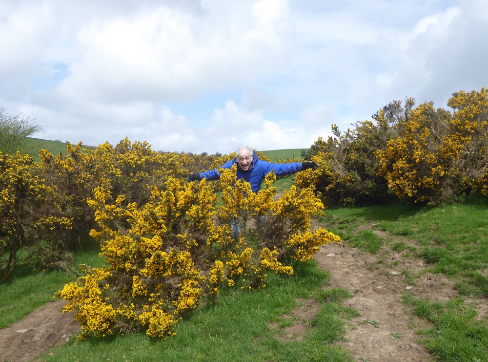 Lear's fool on the heath