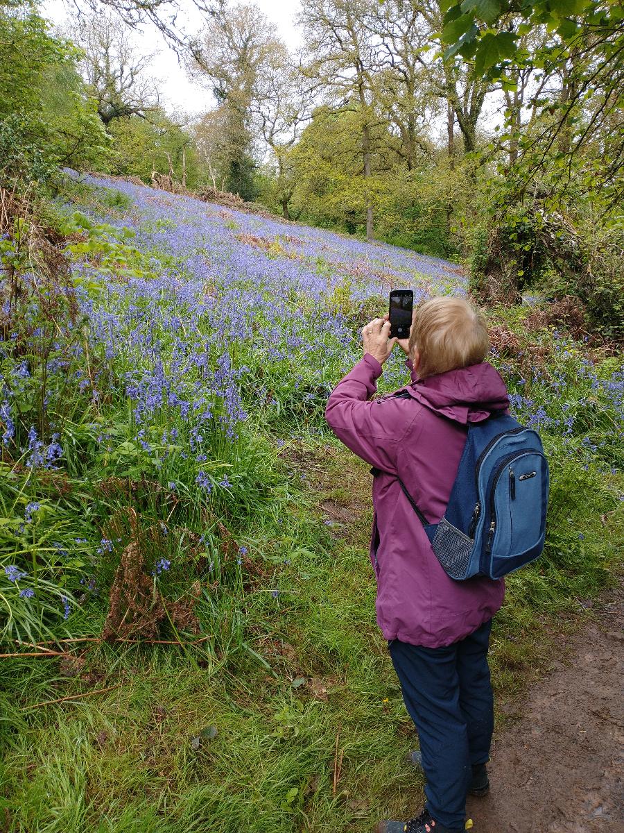 Julia and bluebells