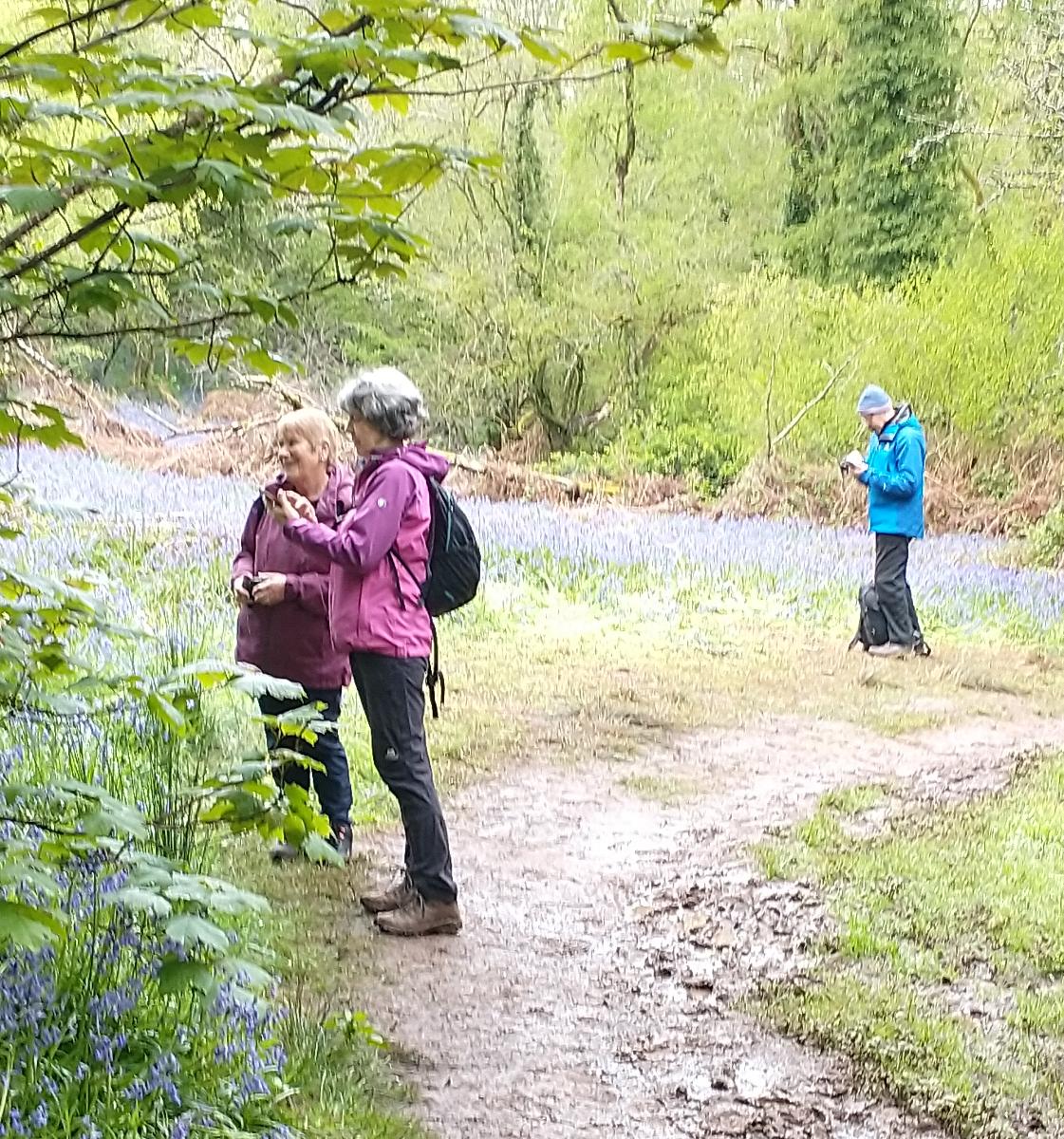 Julia, Annie and Hugh with bluebells