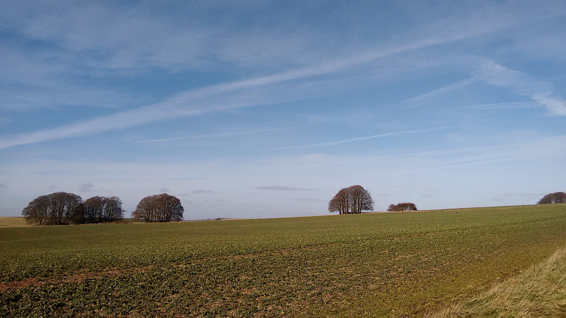 Towards Avebury