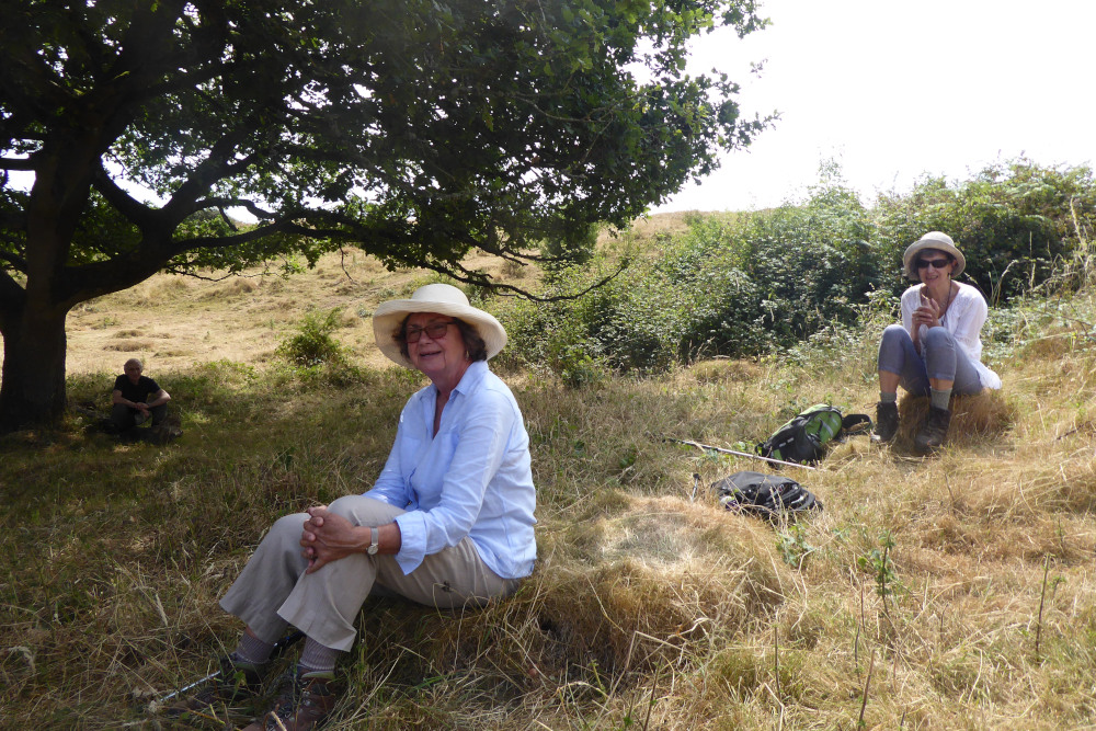 Lunch in Dolebury warren