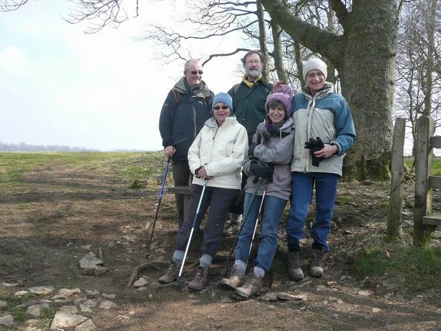 The wood at Kelston Round Hill