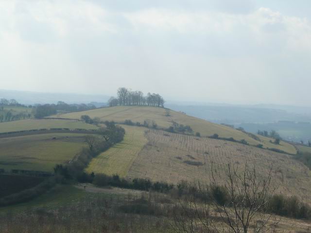 Kelston Round Hill from the scarp