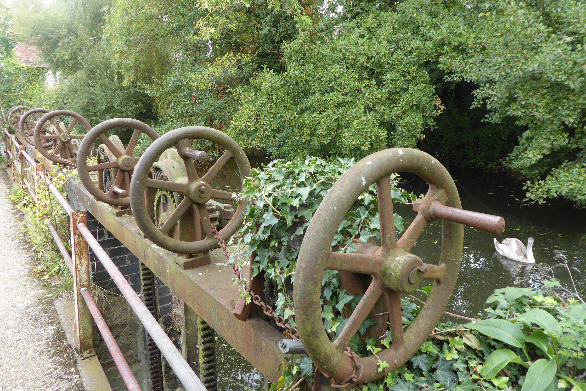 Sluice gate at Fiddleford Mill